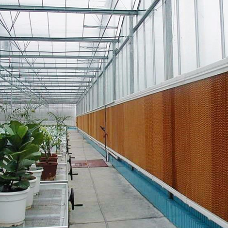 Fan-Pad Cooling System Manufacturer in Ahmedabad, India